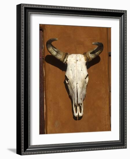 Skull, Santa Fe, NM-null-Framed Photographic Print
