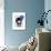 Skull with Blue Hat-Fab Funky-Art Print displayed on a wall