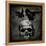 Skull with Crows-Martin Wagner-Framed Stretched Canvas