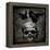 Skull with Crows-Martin Wagner-Framed Stretched Canvas