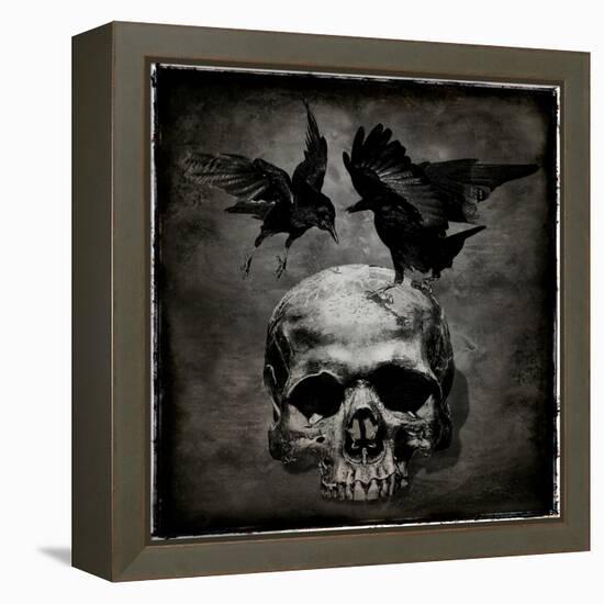 Skull with Crows-Martin Wagner-Framed Stretched Canvas