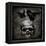 Skull with Crows-Martin Wagner-Framed Stretched Canvas