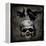 Skull with Crows-Martin Wagner-Framed Stretched Canvas