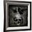 Skull with Crows-Martin Wagner-Framed Art Print