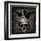 Skull with Crows-Martin Wagner-Framed Art Print