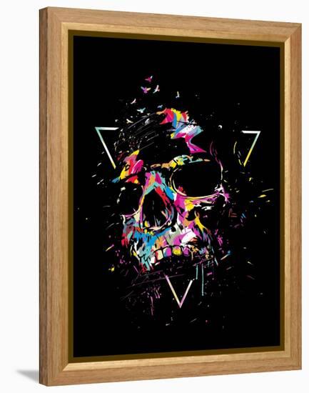 Skull X (color)-Balazs Solti-Framed Stretched Canvas