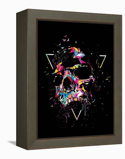 Skull X (color)-Balazs Solti-Framed Stretched Canvas