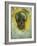 Skull-Vincent van Gogh-Framed Art Print