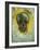 Skull-Vincent van Gogh-Framed Art Print