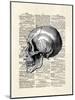 Skull-Matt Dinniman-Mounted Art Print