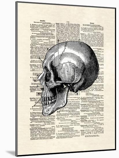 Skull-Matt Dinniman-Mounted Art Print