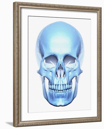 Skull-Matthias Kulka-Framed Giclee Print