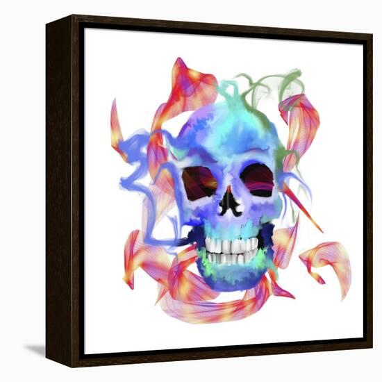 Skull-Stephanie Analah-Framed Premier Image Canvas