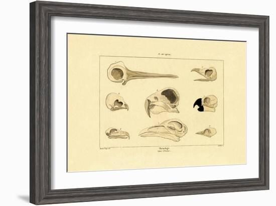 Skulls, 1833-39-null-Framed Giclee Print