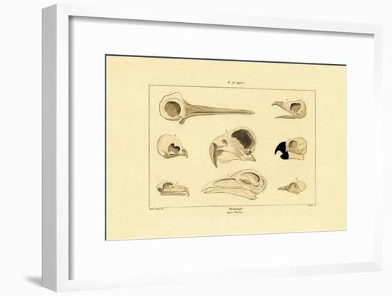 Skulls, 1833-39-null-Framed Giclee Print