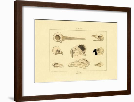 Skulls, 1833-39-null-Framed Giclee Print