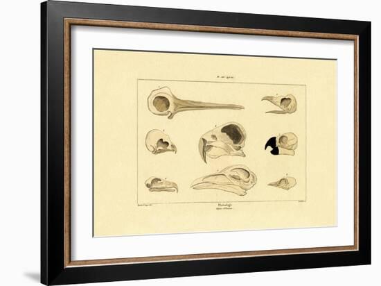 Skulls, 1833-39-null-Framed Giclee Print