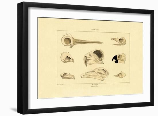 Skulls, 1833-39-null-Framed Giclee Print