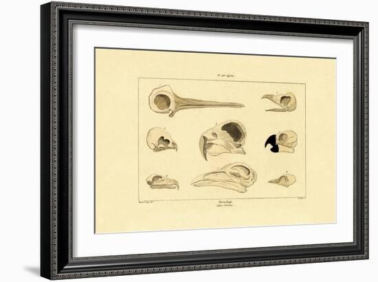 Skulls, 1833-39-null-Framed Giclee Print