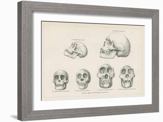 Skulls from Photographs-null-Framed Giclee Print