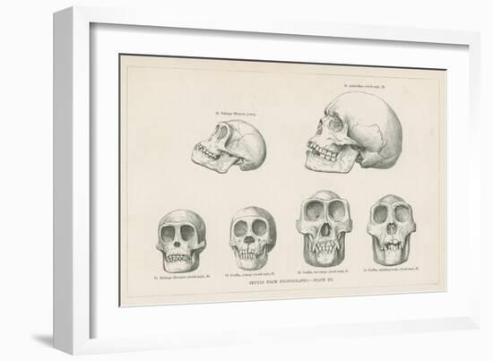 Skulls from Photographs-null-Framed Giclee Print