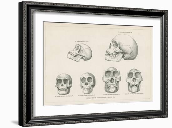 Skulls from Photographs-null-Framed Giclee Print