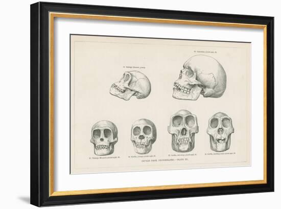 Skulls from Photographs-null-Framed Giclee Print