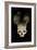 Skulls of Rwanda Genocide Victims-Tony Camacho-Framed Photographic Print