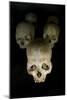 Skulls of Rwanda Genocide Victims-Tony Camacho-Mounted Photographic Print