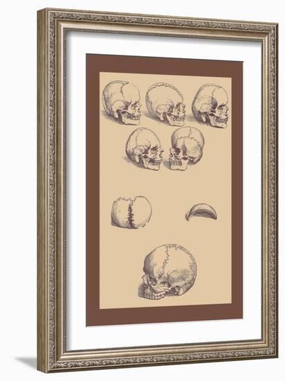 Skulls-Andreas Vesalius-Framed Art Print