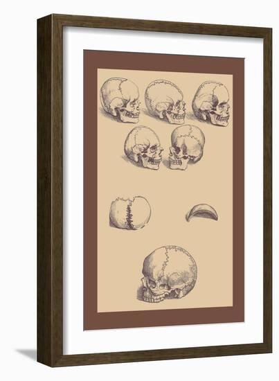 Skulls-Andreas Vesalius-Framed Art Print