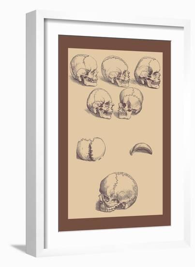 Skulls-Andreas Vesalius-Framed Art Print