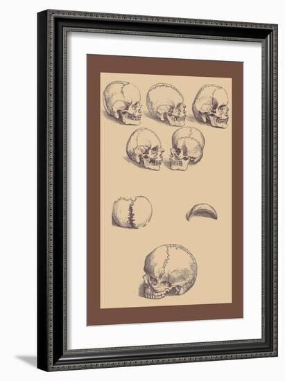 Skulls-Andreas Vesalius-Framed Art Print