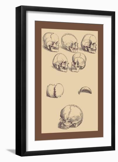 Skulls-Andreas Vesalius-Framed Art Print