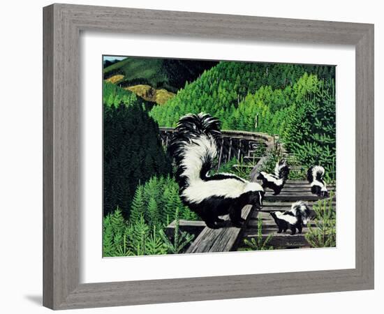 Skunk Family-Fred Ludekens-Framed Giclee Print