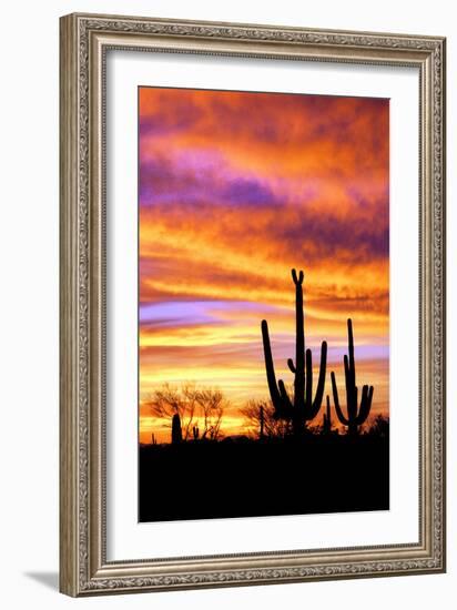 Sky a Fire II-Douglas Taylor-Framed Photographic Print