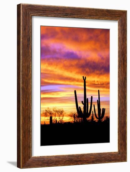 Sky a Fire II-Douglas Taylor-Framed Photographic Print