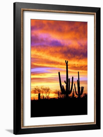 Sky a Fire II-Douglas Taylor-Framed Photographic Print