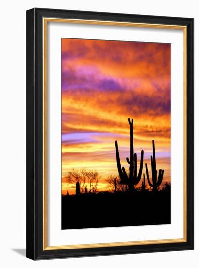 Sky a Fire II-Douglas Taylor-Framed Photographic Print