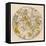 Sky Chart Showing the Signs of the Zodiac and Other Celestial Features-null-Framed Premier Image Canvas