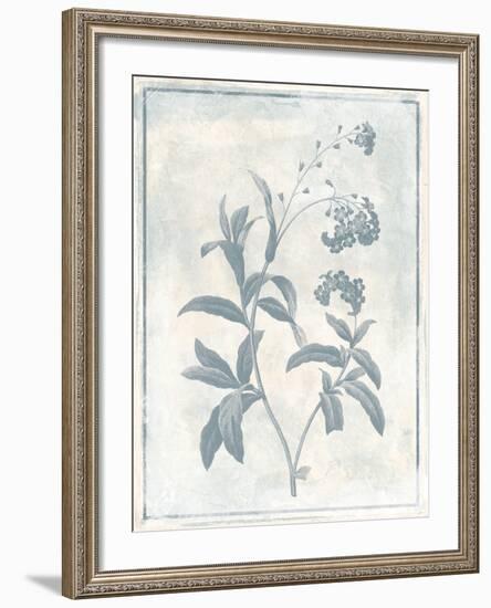 Sky Floral Two Cleaner-Jace Grey-Framed Art Print