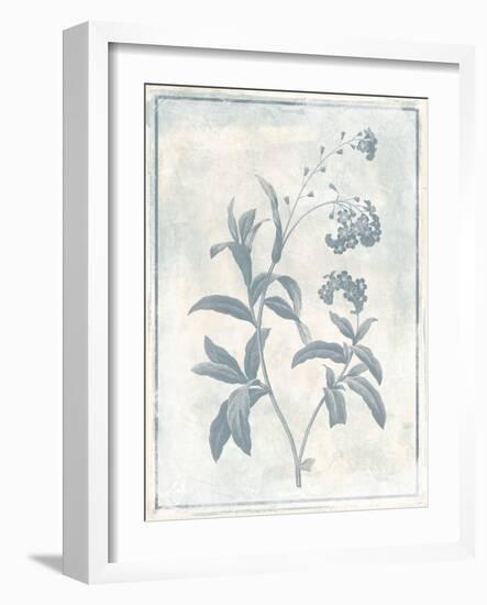 Sky Floral Two Cleaner-Jace Grey-Framed Art Print