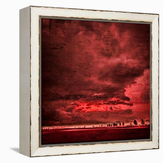 Sky Is Crying-Philippe Sainte-Laudy-Framed Premier Image Canvas