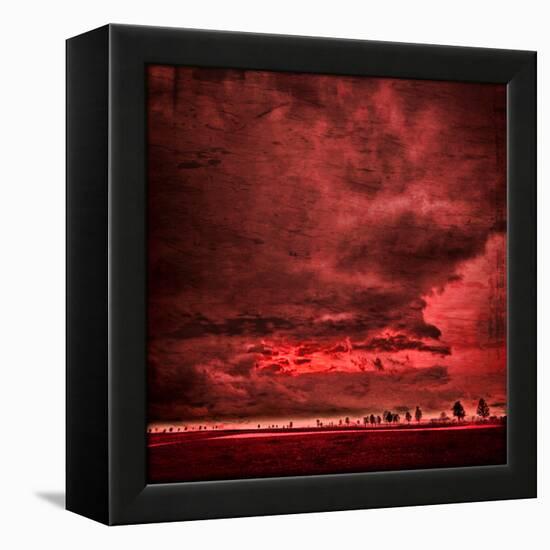 Sky Is Crying-Philippe Sainte-Laudy-Framed Premier Image Canvas