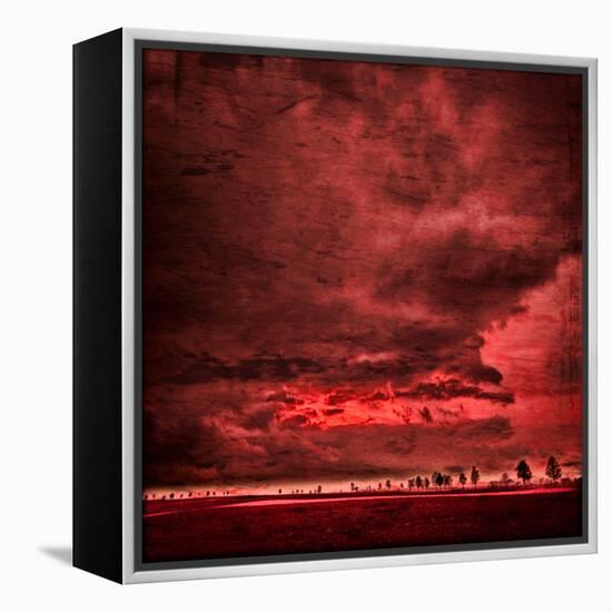 Sky Is Crying-Philippe Sainte-Laudy-Framed Premier Image Canvas