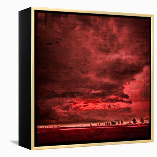 Sky Is Crying-Philippe Sainte-Laudy-Framed Premier Image Canvas
