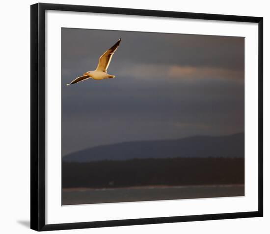 Sky IV-Peter Morneau-Framed Art Print