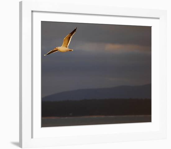 Sky IV-Peter Morneau-Framed Art Print