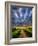 Sky Path-Adrian Campfield-Framed Photographic Print