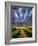 Sky Path-Adrian Campfield-Framed Photographic Print